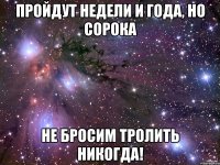 Пройдут недели и года, но Сорока не бросим тролить никогда!