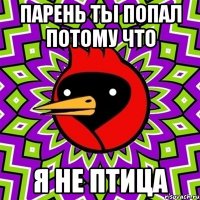 парень ТЫ ПОПАЛ ПОТОМУ ЧТО Я НЕ ПТИЦА