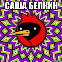 Саша Белкин 