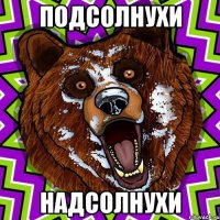 Подсолнухи надсолнухи