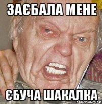 заєбала мене єбуча шакалка