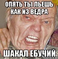 Опять ты льешь как из ведра Шакал ебучий