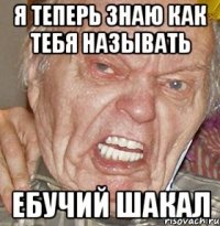 Я теперь знаю как тебя называть Ебучий шакал