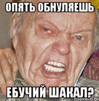 опять обнуляешь ебучий шакал?