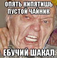 опять кипятишь пустой чайник ебучий шакал