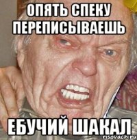 ОПЯТЬ СПЕКУ ПЕРЕПИСЫВАЕШЬ ЕБУЧИЙ ШАКАЛ