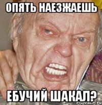ОПЯТЬ НАЕЗЖАЕШЬ ЕБУЧИЙ ШАКАЛ?
