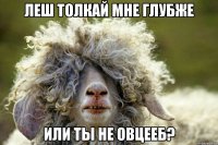 ЛЕШ ТОЛКАЙ МНЕ ГЛУБЖЕ ИЛИ ТЫ НЕ ОВЦЕЕБ?