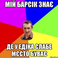 мій барсік знає де у едіка слабе мєсто буває