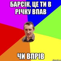 БАРСІК, ЦЕ ТИ В РІЧКУ ВПАВ ЧИ ВПРІВ