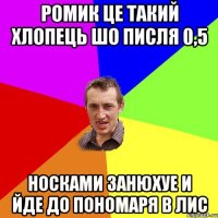 Ромик це такий хлопець шо писля 0,5 носками занюхуе и йде до Пономаря в лис