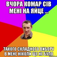 Вчора комар сів мені на яйце ... Такого складного вибору в мене ніколи ще не було