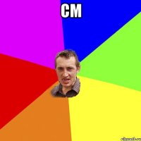 см 