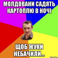 МОЛДОВАНИ САДЯТЬ КАРТОПЛЮ В НОЧІ ЩОБ ЖУКИ НЕБАЧИЛИ...