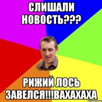 Слишали новость??? Рижий лось завелся!!!Вахахаха