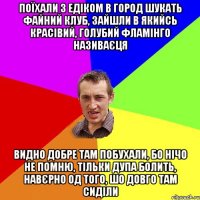 поїхали з едіком в город шукать файний клуб, зайшли в якийсь красівий, голубий фламінго називаєця видно добре там побухали, бо нічо не помню, тільки дупа болить, навєрно од того, шо довго там сиділи