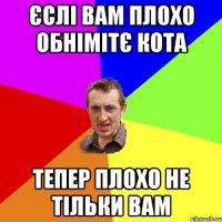 єслі вам плохо обнімітє кота тепер плохо не тільки вам