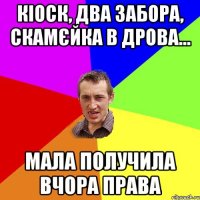 кіоск, два забора, скамєйка в дрова... мала получила вчора права