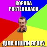 корова розтелилася діла пішли вгору