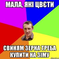 Мала, які цвєти Свиням зерна треба купити на зіму