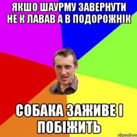якшо шаурму завернути не к лавав а в подорожнік собака заживе і побіжить