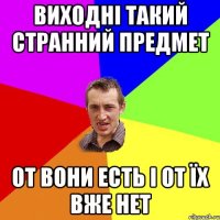Виходні такий странний предмет от вони есть і от їх вже нет