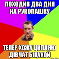 Походив два дня на рукопашку Тепер хожу ципляю дівчат біцухой