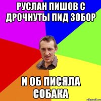 руслан пишов с дрочнуты пид зобор и об писяла собака