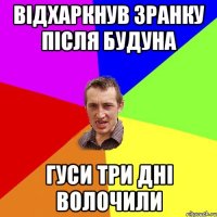 Відхаркнув зранку після будуна Гуси три дні волочили