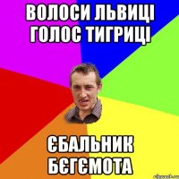 ВОЛОСИ ЛЬВИЦІ ГОЛОС ТИГРИЦІ ЄБАЛЬНИК БЄГЄМОТА