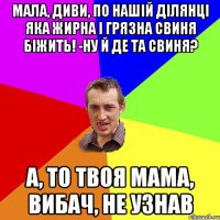 мала, диви, по нашій ділянці яка жирна і грязна свиня біжить! -ну й де та свиня? а, то твоя мама, вибач, не узнав