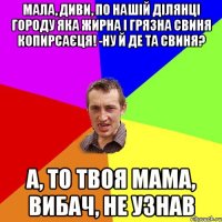 мала, диви, по нашій ділянці городу яка жирна і грязна свиня копирсаєця! -ну й де та свиня? а, то твоя мама, вибач, не узнав