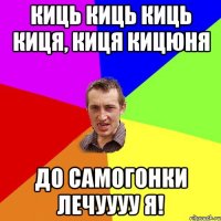 киць киць киць киця, киця кицюня до самогонки лечуууу я!