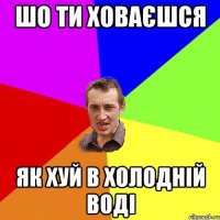 шо ти ховаєшся як хуй в холодній воді