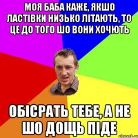 Моя баба каже, якшо ластівки низько літають, то це до того шо вони хочють обісрать тебе, а не шо дощь піде