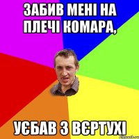 забив мені на плечі комара, уєбав з вєртухі