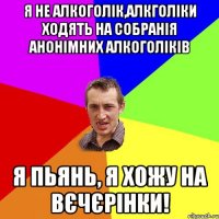 я не алкоголік,алкголіки ходять на собранія анонімних алкоголіків я пьянь, я хожу на вєчєрінки!