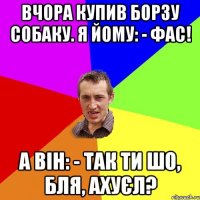 Вчора купив борзу собаку. Я йому: - Фас! А він: - Так ти шо, бля, ахуєл?