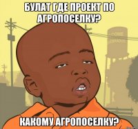 БУЛАТ ГДЕ ПРОЕКТ ПО АГРОПОСЕЛКУ? КАКОМУ АГРОПОСЕЛКУ?