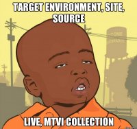 target environment, site, source live, mtvi collection