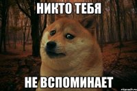 никто тебя не вспоминает