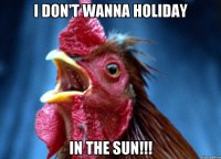 I don't wanna holiday in the sun!!!