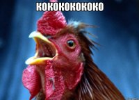 КОКОКОКОКОКО 