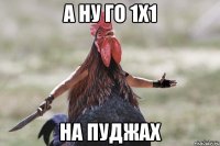 А НУ ГО 1Х1 НА ПУДЖАХ