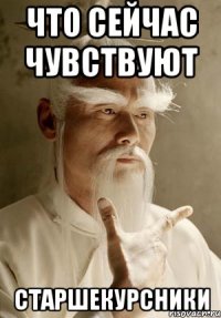 Что сейчас чувствуют Старшекурсники