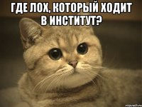 где лох, который ходит в институт? 