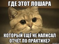 Где этот лошара Который ещё не написал отчёт по практике?