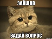 Зайшов Задай вопрос