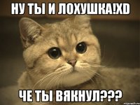 Ну ты и лохушка!хD че ты вякнул???