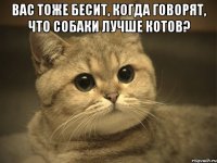 Вас тоже бесит, когда говорят, что собаки лучше котов? 